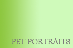 PetPortraits